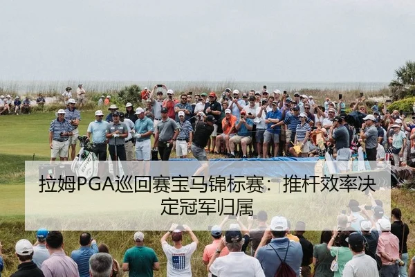 la-mu-xun-hui-sai-bao-ma-jin-biao-sai-tui-gan-xiao-lv-jue-ding-guan-jun-gui-shu-2-589.jpg