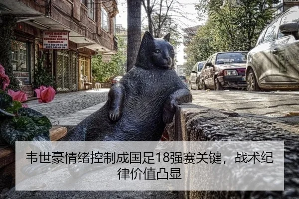 韦世豪情绪控制成国足18强赛关键，战术纪律价值凸显